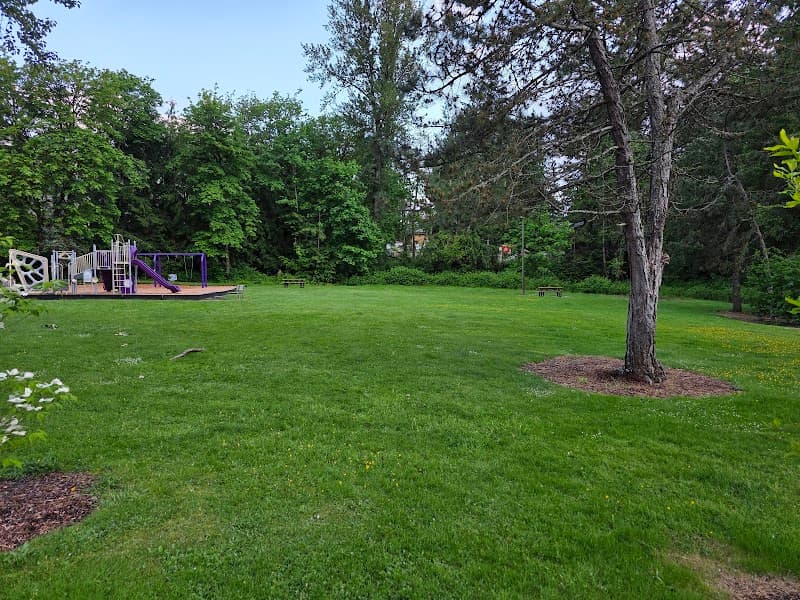 Photo by Zhen Gobeli (Google)