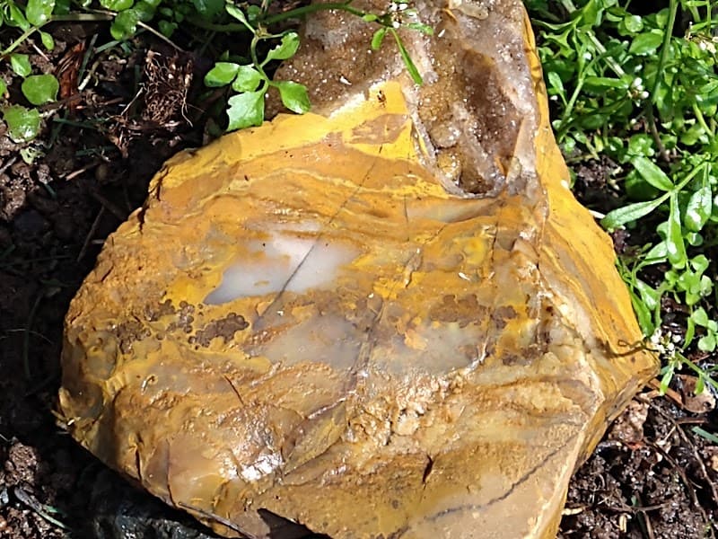 Photo by Nunya Bizz (Google)