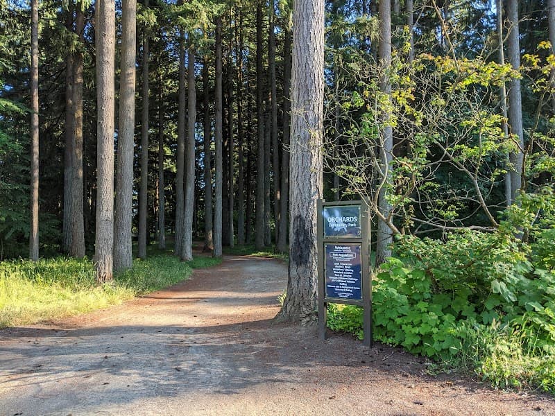 Photo by Noah W (Google)