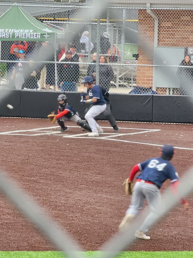 Photo by Tammy Schur (Google)