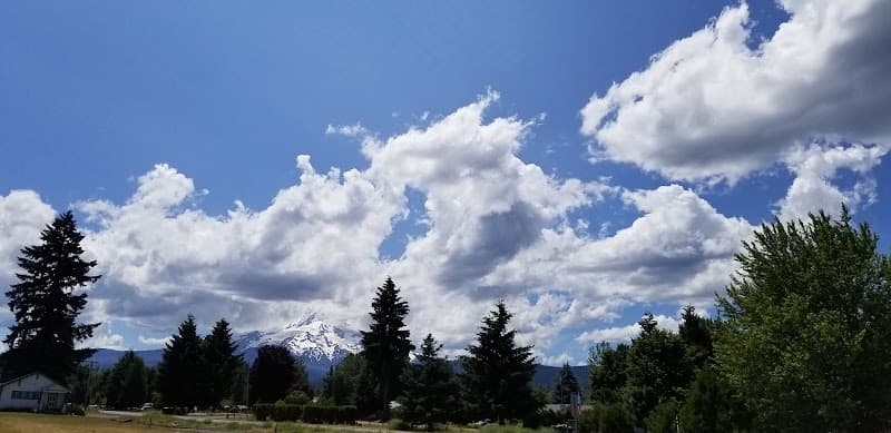 Photo by Erik Hasselquist (Google)