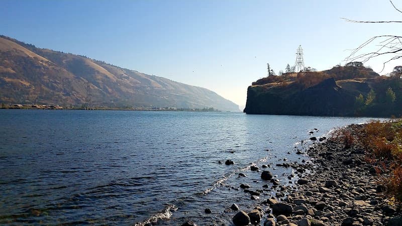 Photo by Paul Larned (Google)