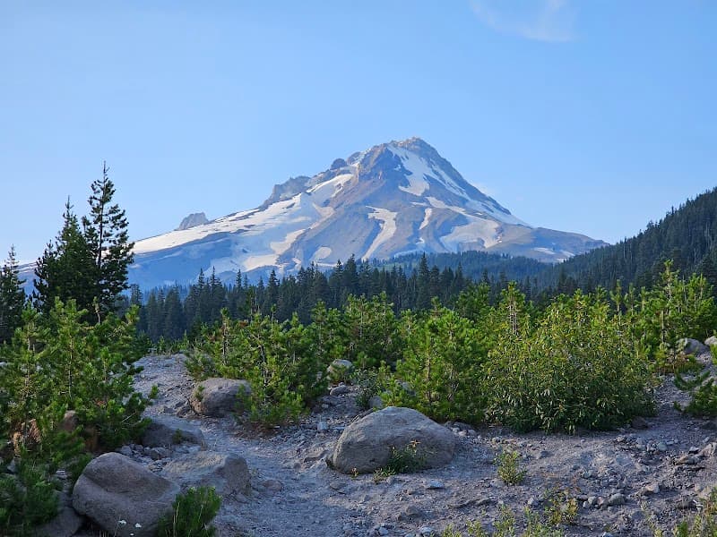 Photo by Surya Prakash Pandeya (Google)