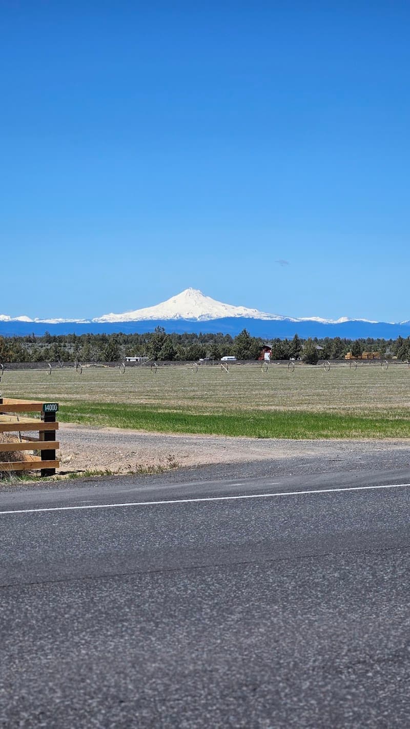 Photo by Stephen Bradbury (Google)