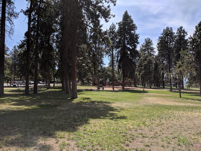 Photo by Jeff Rieder (Google)