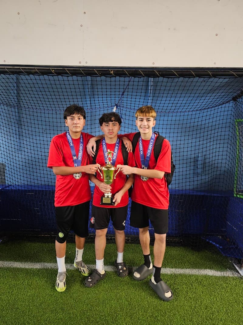 Photo by Tavo84 Rome (Google)