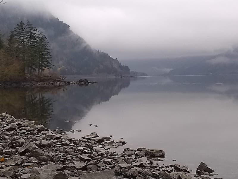 Photo by Melissa Williams (Google)