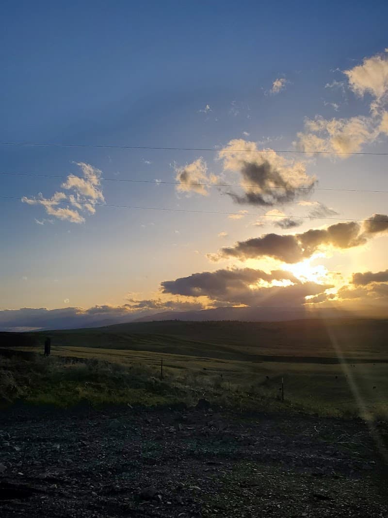 Photo by Deby Skinner (Google)