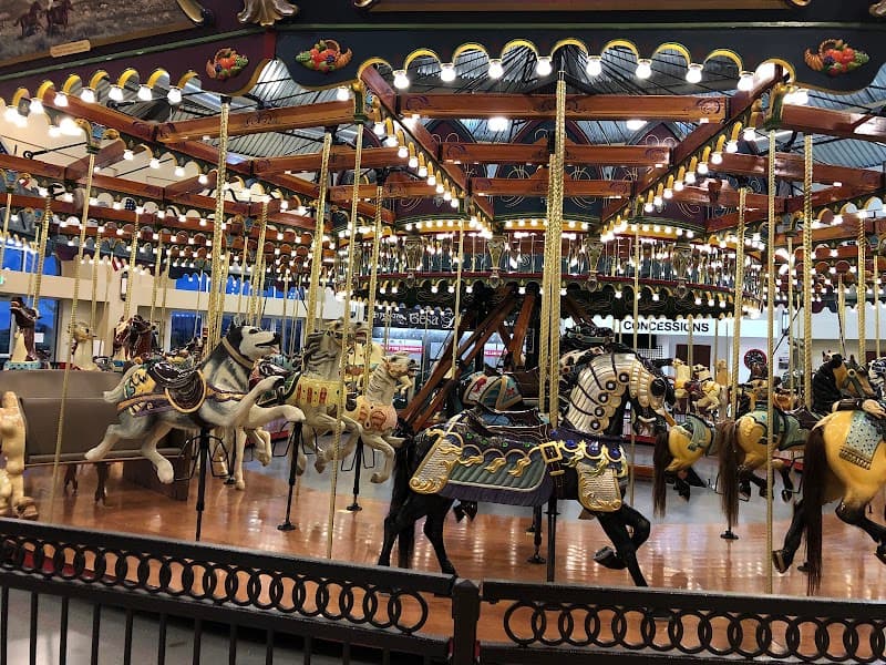 Photo by layla leija (Google)