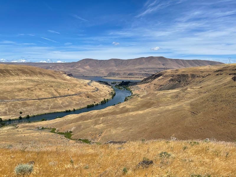 Photo by Warren Leitner (Google)