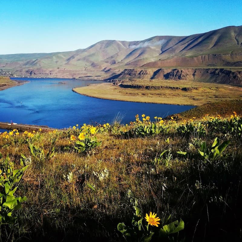 Photo by Max Bemberg (Google)