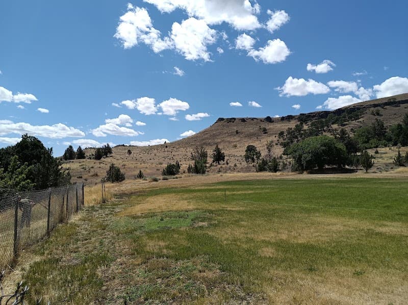 Photo by Trevor Sullivan (Google)