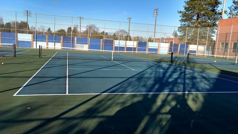 Photo by Maneesh M P (Google)