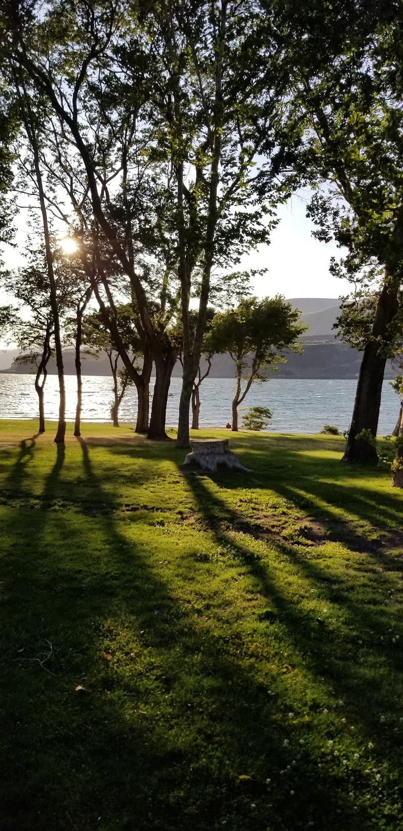 Photo by Beaudie Stroebel (Google)