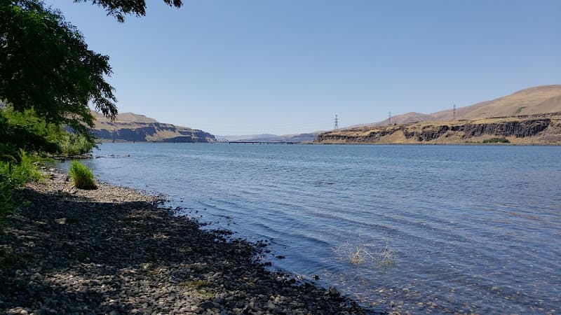 Photo by Leirus Rivera (Google)