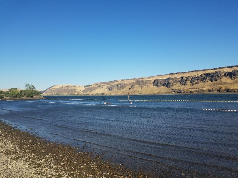 Photo by Cassie Miller (Google)