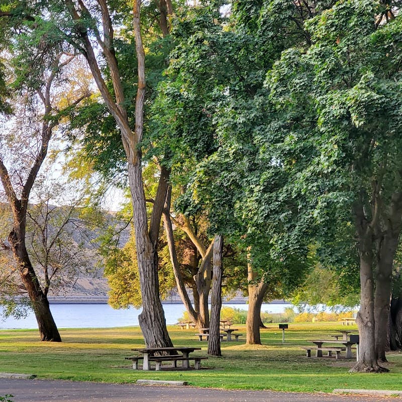 Photo by Kerri Silvernell (Google)