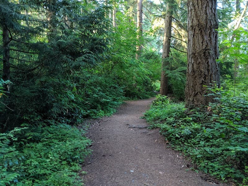 Photo by Sarvesh Kaushal (Google)