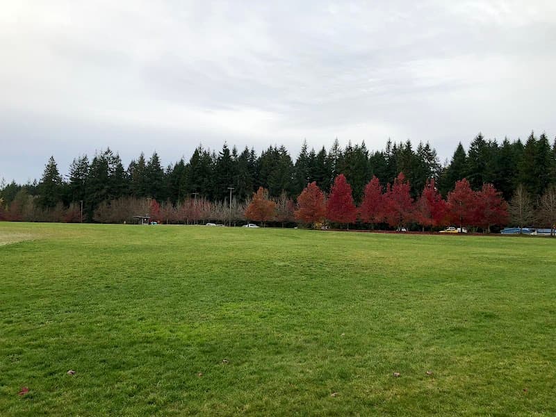 Photo by Anthony Stebbins (Google)