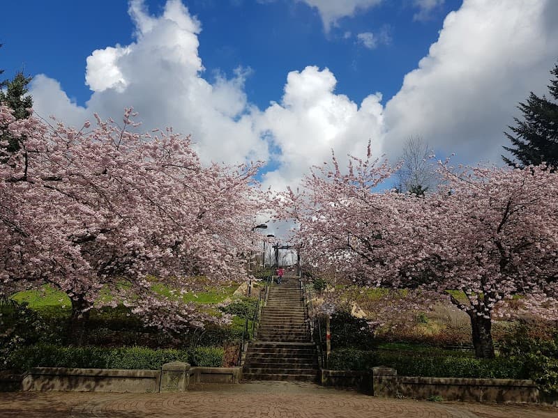 Photo by K Stephanie (Google)