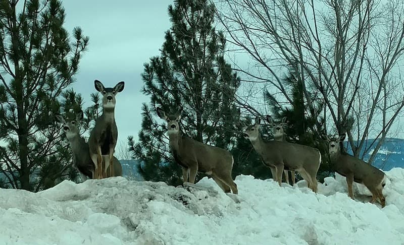 Union Athletic Complex