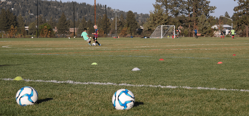 Photo by Pacific Crest Athletic Fields (Google)