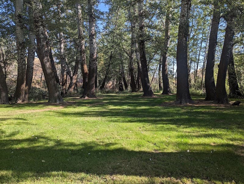 Photo by Angela Lee (Google)