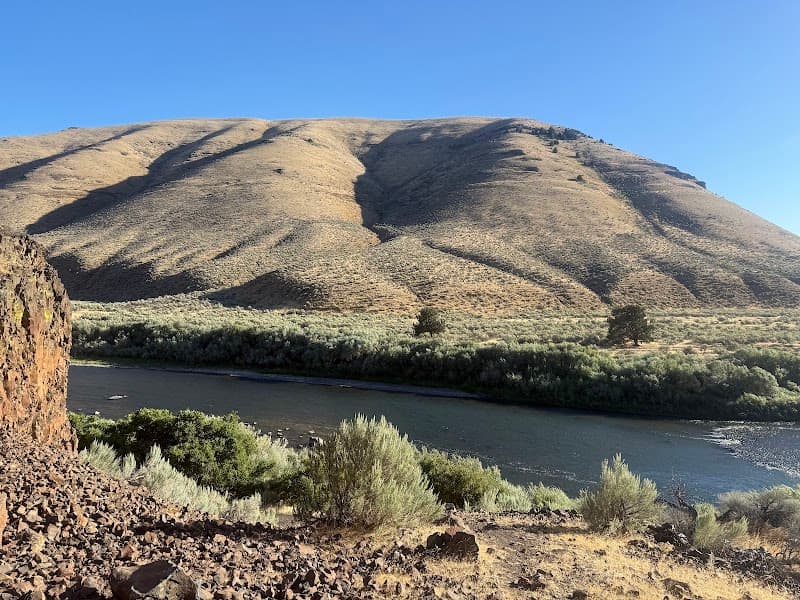 Photo by William Rodriguez (Google)