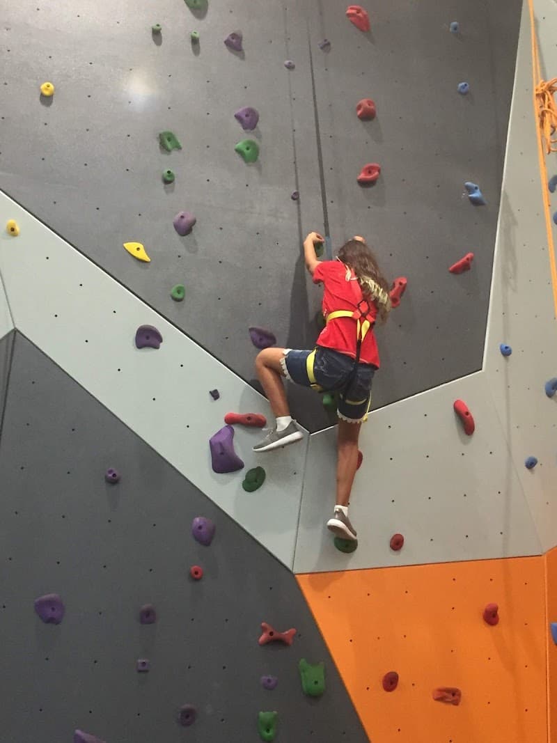 Photo by Zack Rock (Google)