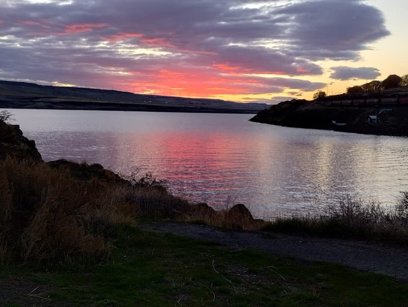 Photo by Sandra Gonzales (Google)