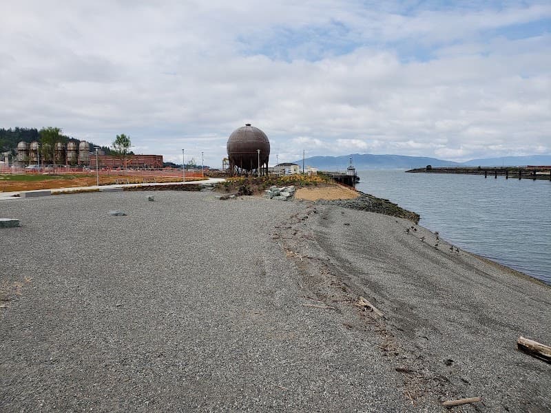 Photo by Paul Sterling (Google)