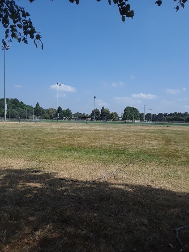 Photo by Kat Lee (Google)