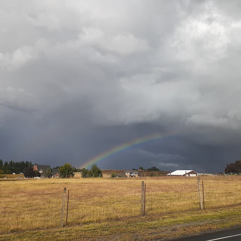 Photo by A K (Google)