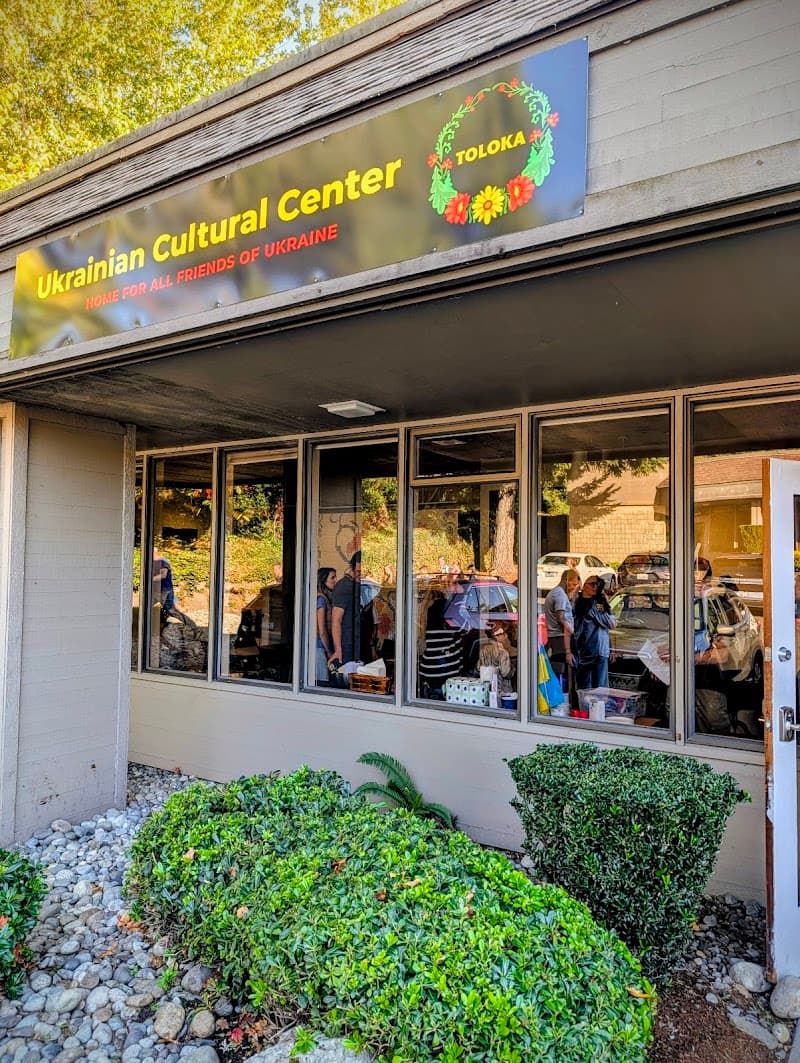 Photo by Vitalii Stoian (Google)