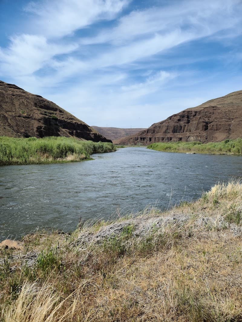 Photo by Randi Davis (Google)