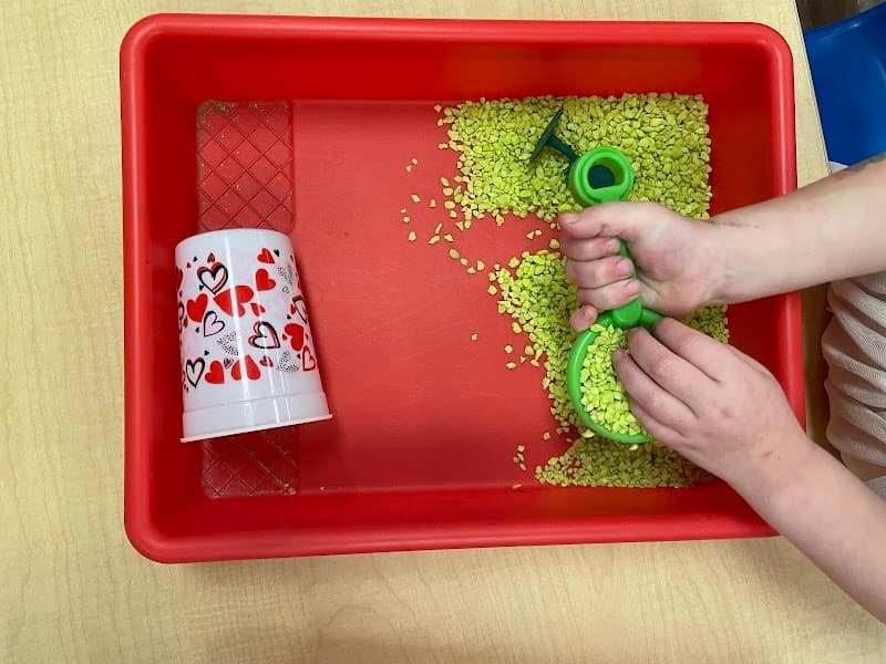 Early World Childrens School