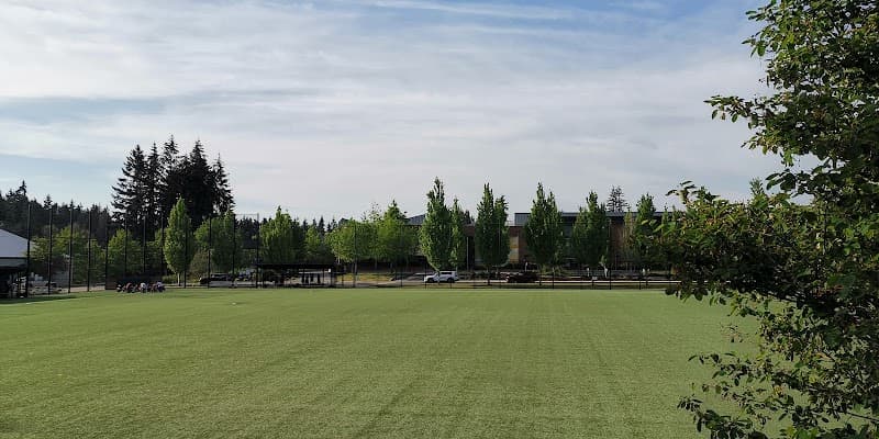 Photo by Tong Chen (Google)