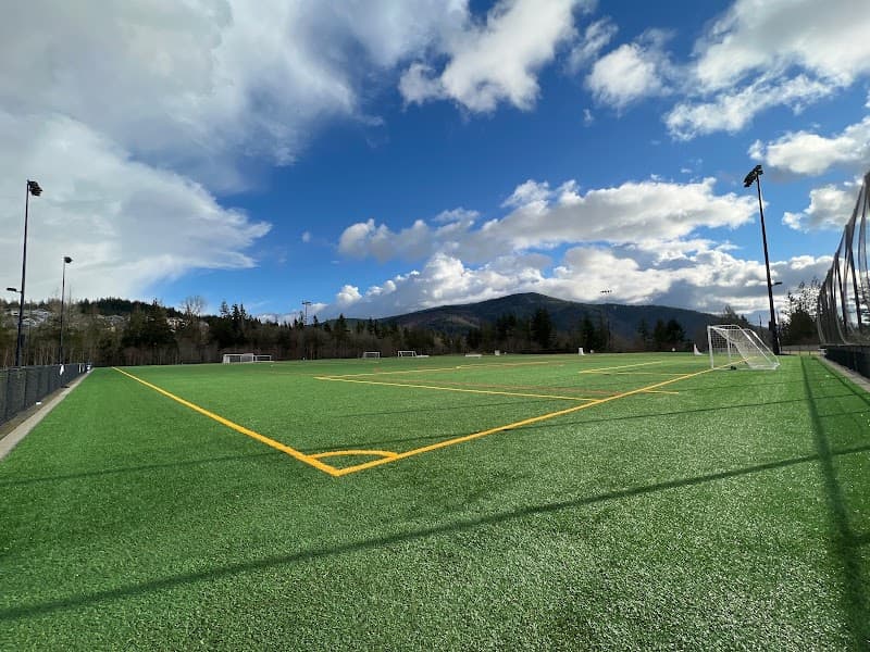 Photo by Louis Ronald (Google)