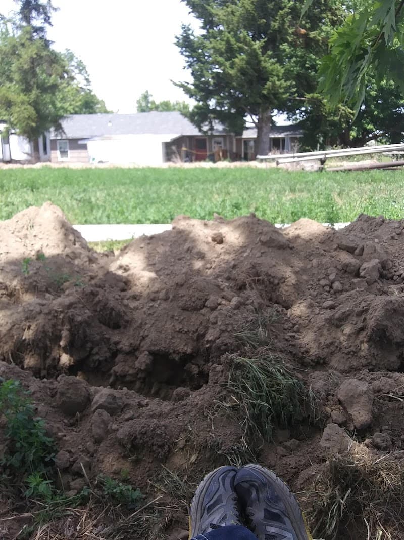 Photo by Tim Rowden (Google)