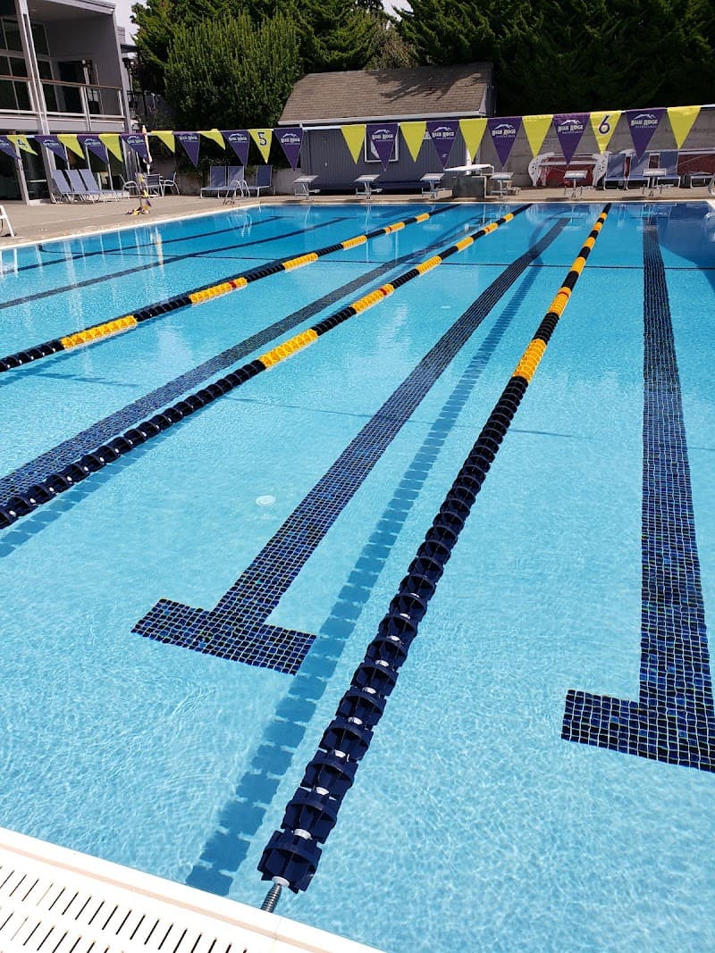 Photo by richard arendt (Google)