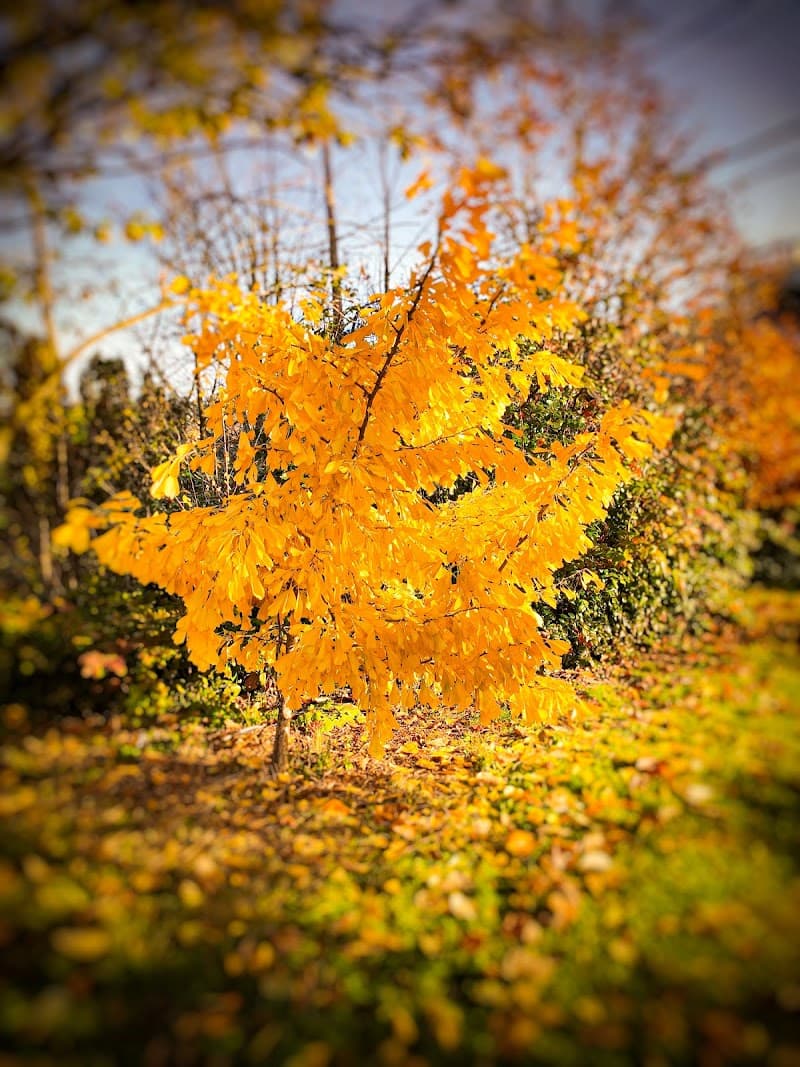 Photo by Rick J (Google)