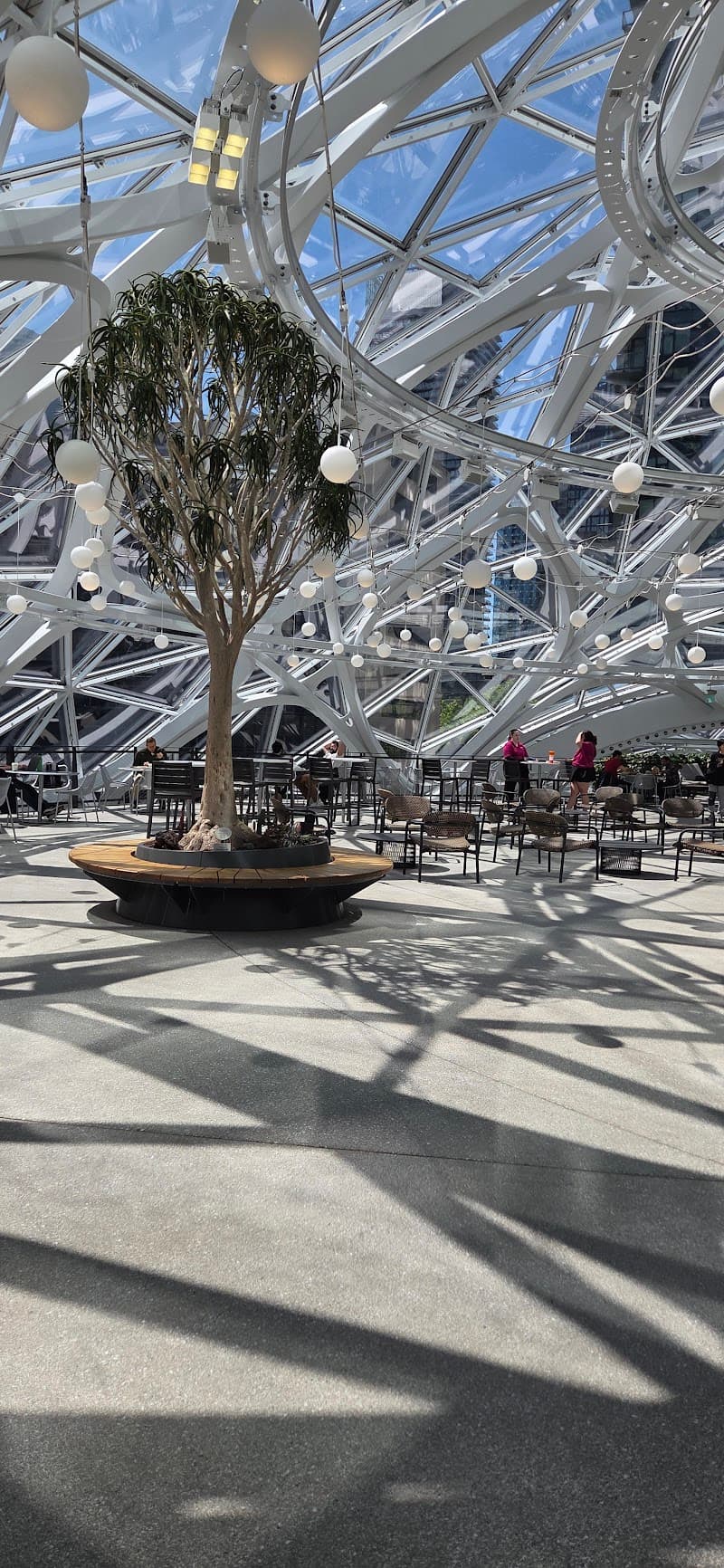 Photo by Amir Salavdor (Amir) (Google)