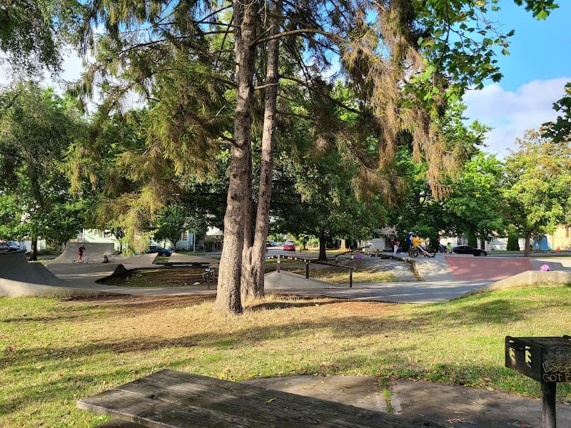 Photo by Liam Leeson (Google)