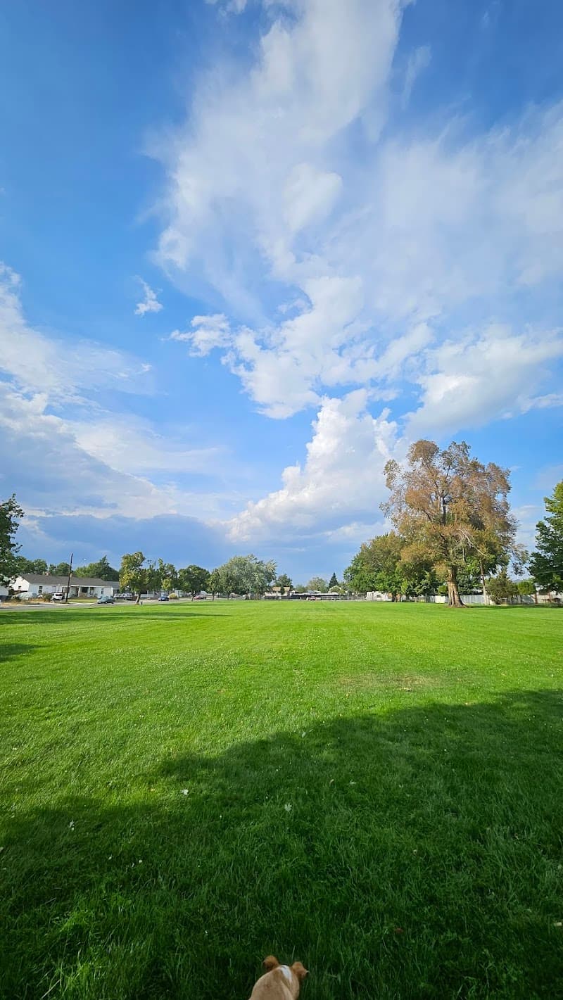 Photo by Deaundre Moore (Google)