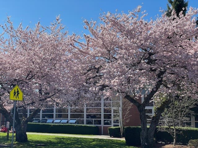 Holy Family Parish School