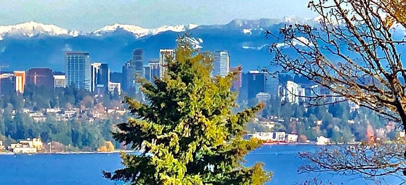 Saint Therese Catholic Academy