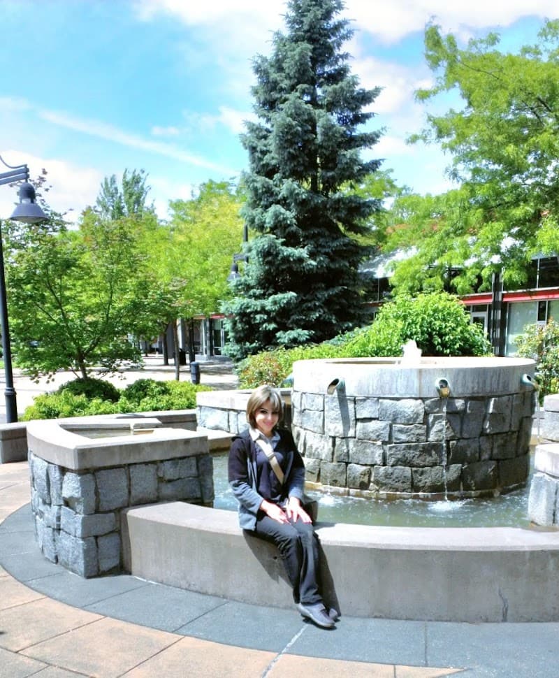 Photo by Nawras Noorita (Google)