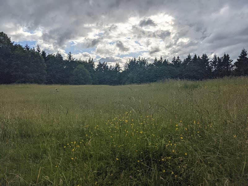 Photo by Jackie Chang (Google)