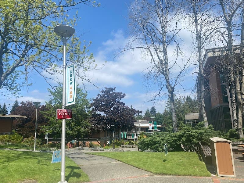 Photo by Danny Tram (Google)