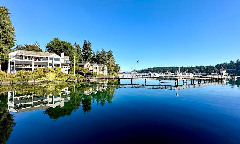 Photo by Dickson Wan (Google)